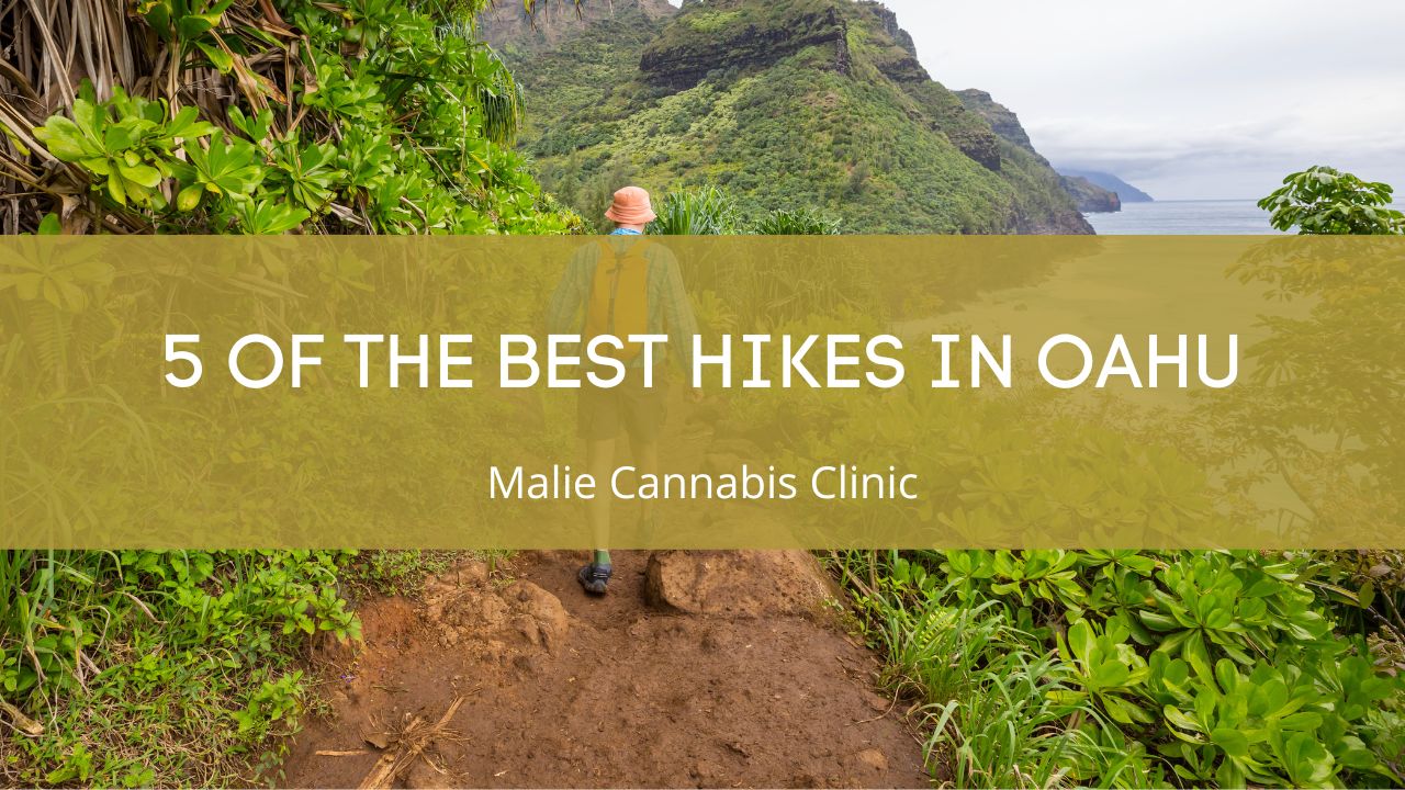 5 of the Best Hikes in Oahu